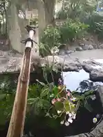 阿智神社の手水舎