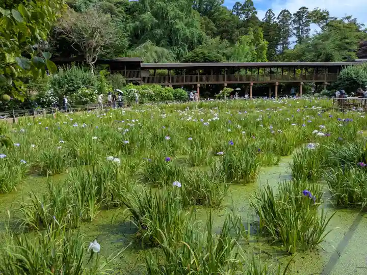 本土寺(千葉県)