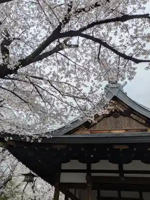天孫神社(滋賀県)