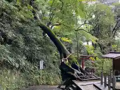 笠森寺(千葉県)