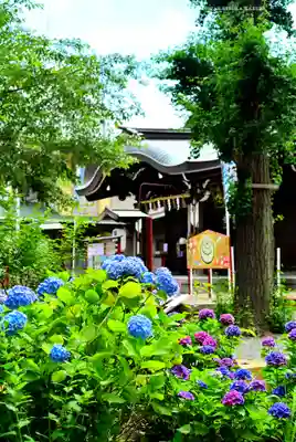 磐井神社(東京都)