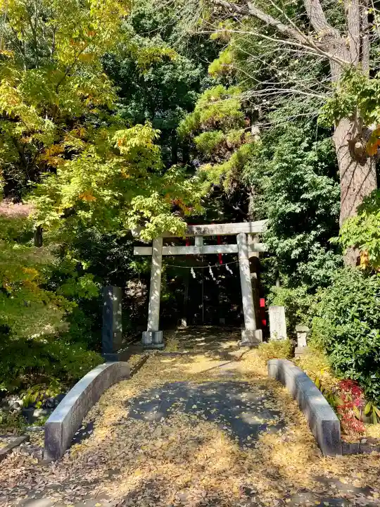 茅ヶ崎杉山神社(神奈川県)