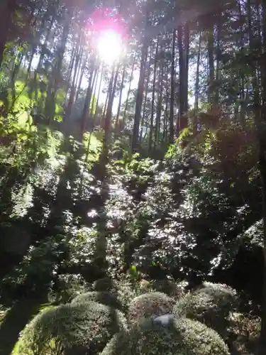 朝護孫子寺の自然