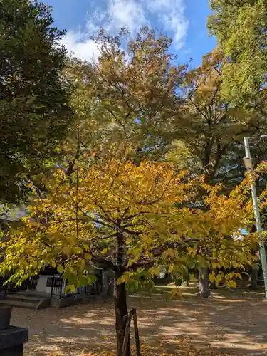 下石原八幡神社(東京都)