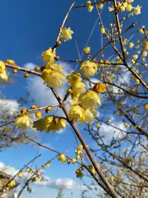 羽黒山神社の{uncategorized: "未分類", other: "その他", undefined: "問題あり", building: "その他建物", grave: "お墓", sacred_gate: "鳥居", guardian: "狛犬", statue: "像", buddha: "仏像", history: "歴史", nature: "自然", garden: "庭園", animal: "動物", pagoda: "塔", temizu: "手水舎", mountain_gate: "山門・神門", sanctuary: "本殿・本堂", subordinate: "末社・摂社", art: "芸術", scenery: "景色", jizo: "地蔵", ema: "絵馬", goshuin: "御朱印", omikuji: "おみくじ", items: "授与品その他", amulet: "お守り", goshuincho: "御朱印帳", eats: "食事", festival: "お祭り", votive_dance: "神楽", shichigosan: "七五三参", wedding: "結婚式", experience: "体験その他", initially: "初詣", around: "周辺", anti_infection: "感染症対策"}