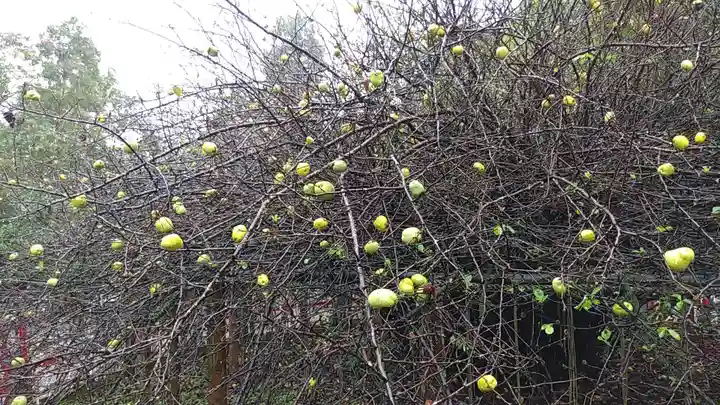 冠稲荷神社(群馬県)