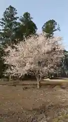 鹿嶋三嶋神社(茨城県)