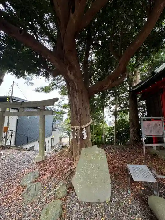 玉前神社(千葉県)