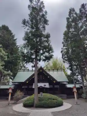 琴似神社(北海道)