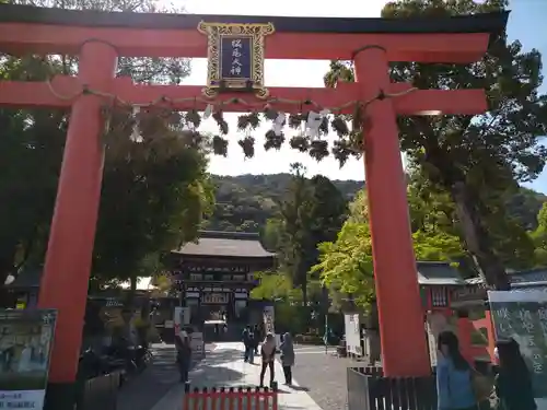 松尾大社の鳥居