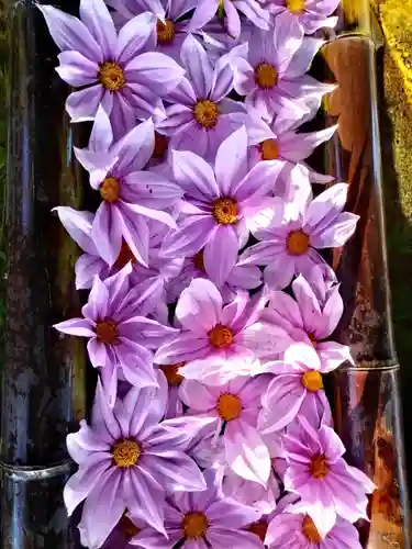 立志神社(滋賀県)