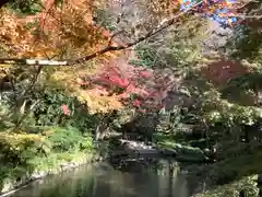 鶴岡八幡宮の庭園