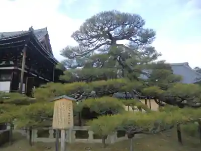 くろ谷 金戒光明寺(京都府)