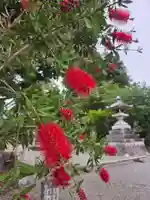 沙沙貴神社(滋賀県)