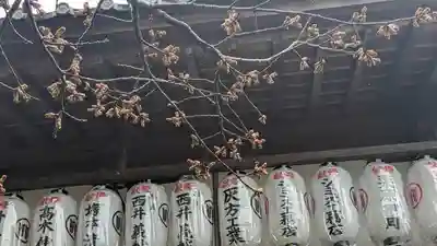 大歳神社(京都府)