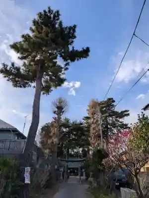 田端神社(東京都)