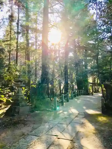 五所駒瀧神社の景色