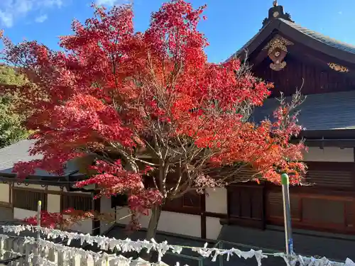 鹿嶋神社(兵庫県)
