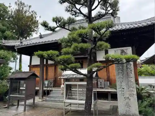 西林寺(愛媛県)