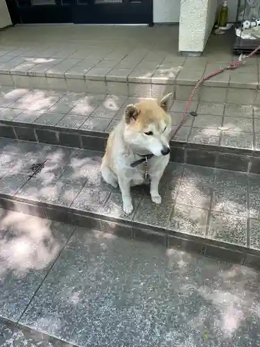 笠䅣稲荷神社(神奈川県)