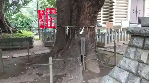 諏訪神社(東京都)