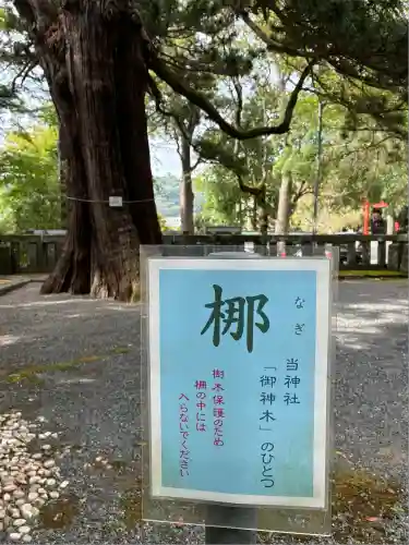 伊豆山神社(静岡県)