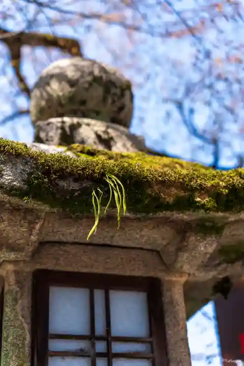 松尾大社のその他建物