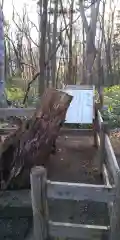 鷹栖神社の自然