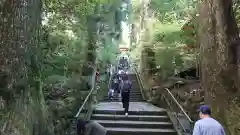 箱根神社の建物その他