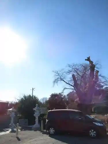 香取神社(茨城県)