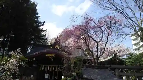子安神社のその他建物