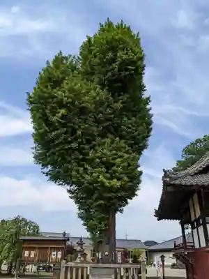 諏訪神社(群馬県)