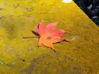 気比神社(福井県)