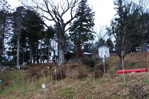 阿久津「田村神社」（郡山市阿久津町）旧社名：伊豆箱根三嶋三社の景色