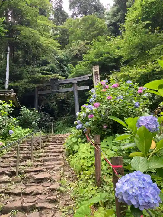太平山神社(栃木県)
