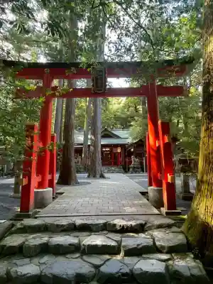 椿岸神社の{uncategorized: "未分類", other: "その他", undefined: "問題あり", building: "その他建物", grave: "お墓", sacred_gate: "鳥居", guardian: "狛犬", statue: "像", buddha: "仏像", history: "歴史", nature: "自然", garden: "庭園", animal: "動物", pagoda: "塔", temizu: "手水舎", mountain_gate: "山門・神門", sanctuary: "本殿・本堂", subordinate: "末社・摂社", art: "芸術", scenery: "景色", jizo: "地蔵", ema: "絵馬", goshuin: "御朱印", omikuji: "おみくじ", items: "授与品その他", amulet: "お守り", goshuincho: "御朱印帳", eats: "食事", festival: "お祭り", votive_dance: "神楽", shichigosan: "七五三参", wedding: "結婚式", experience: "体験その他", initially: "初詣", around: "周辺", anti_infection: "感染症対策"}