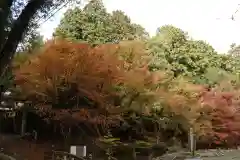 波爾布神社(滋賀県)