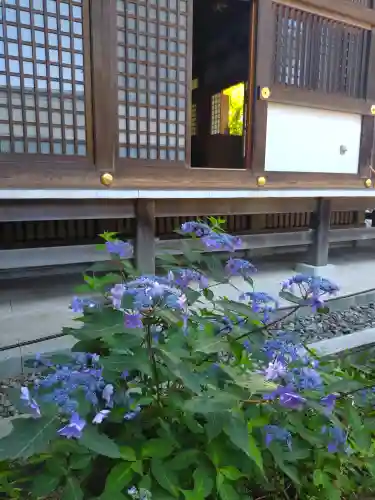 高幡不動尊　金剛寺(東京都)