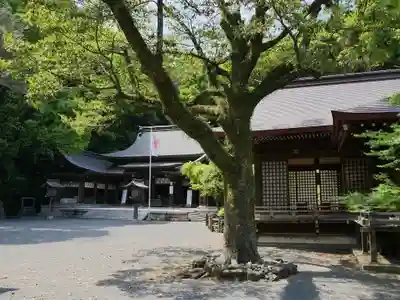 高見神社のその他建物