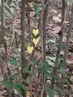 石内のお大師さん 金剛院(広島県)