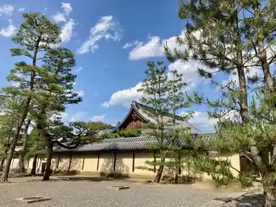 妙心寺（妙心禅寺）のその他建物