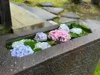 楽水亭 大龍寺(秋田県)