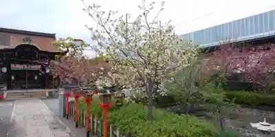 六孫王神社(京都府)