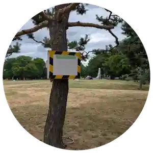 眞久寺の周辺(2025年07月19日(土) 08時43分07秒投稿)