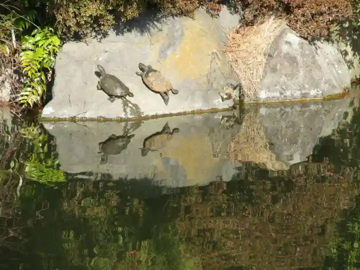 東漸寺(神奈川県)