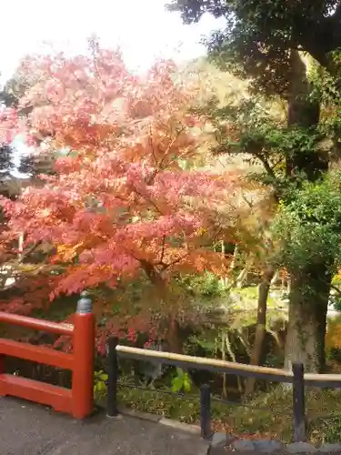 鶴岡八幡宮の庭園