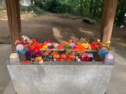 高山神社の手水