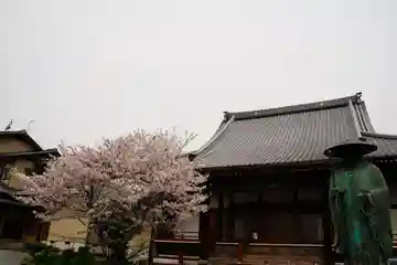 徳成寺の本殿・本堂