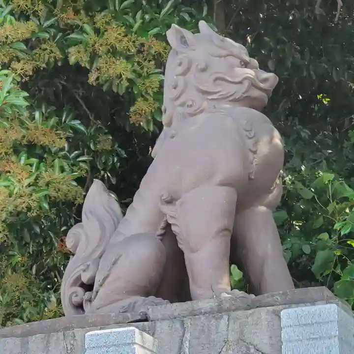 神明社(常滑神明社)の狛犬