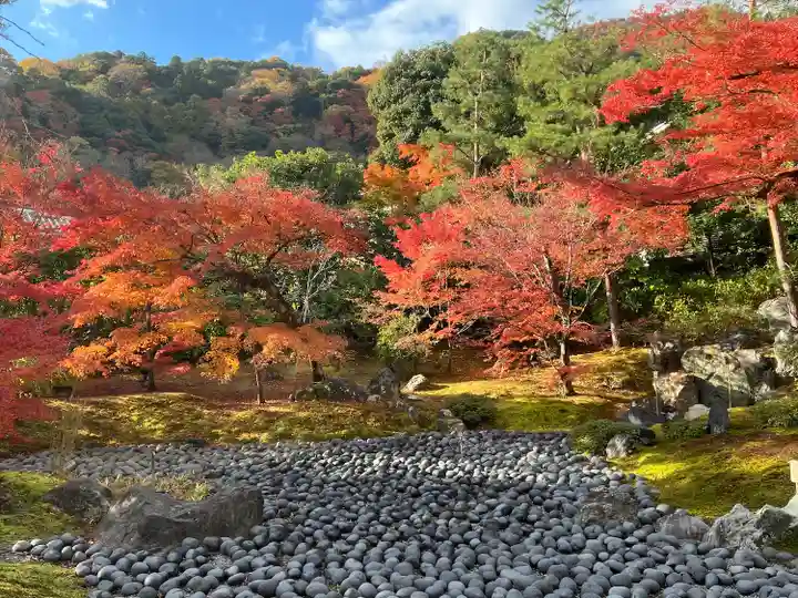 宝厳院(京都府)